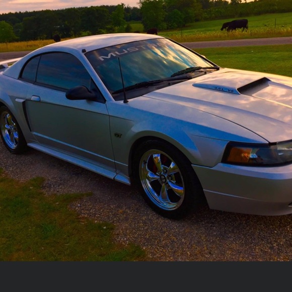 Meet your Posher, Daniel - Picture 1 of 1